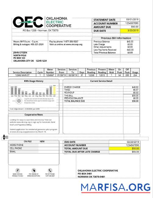Downloadable USA OEC electricity utility bill template in Word and PDF format